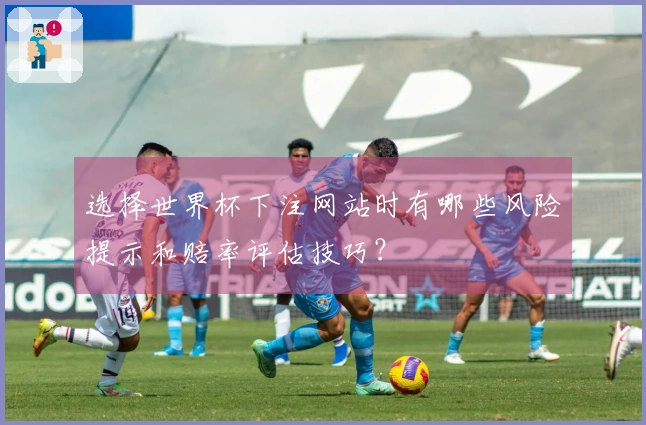 选择世界杯下注网站时有哪些风险提示和赔率评估技巧？