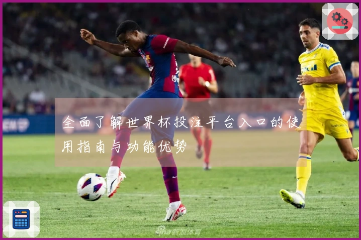全面了解世界杯投注平台入口的使用指南与功能优势