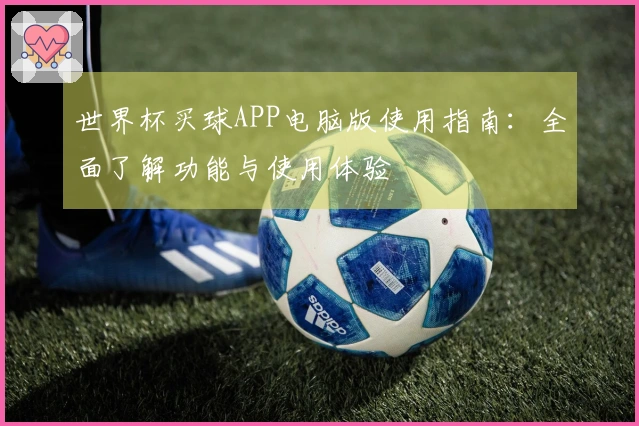 世界杯买球APP电脑版使用指南：全面了解功能与使用体验