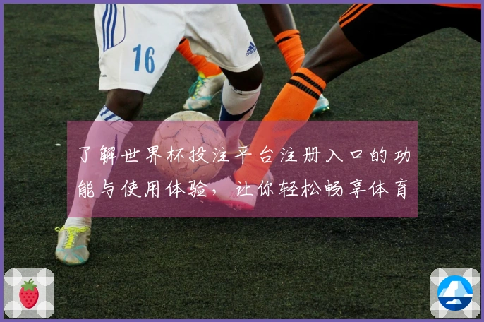 了解世界杯投注平台注册入口的功能与使用体验，让你轻松畅享体育直播盛宴