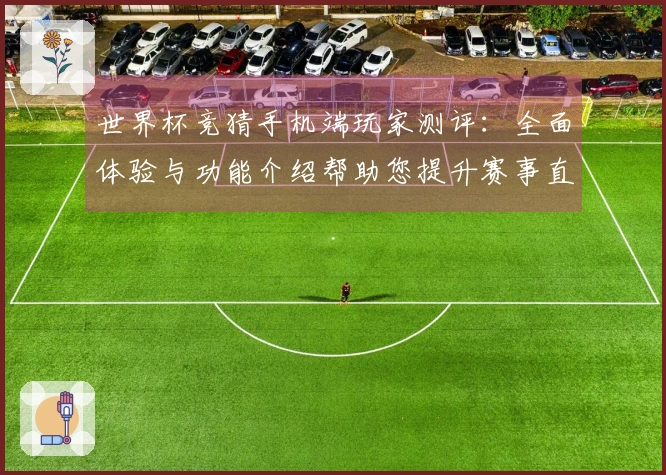 世界杯竞猜手机端玩家测评：全面体验与功能介绍帮助您提升赛事直播乐趣