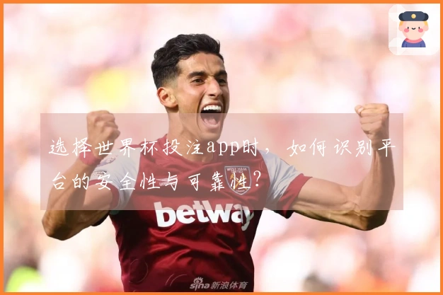 选择世界杯投注app时，如何识别平台的安全性与可靠性？