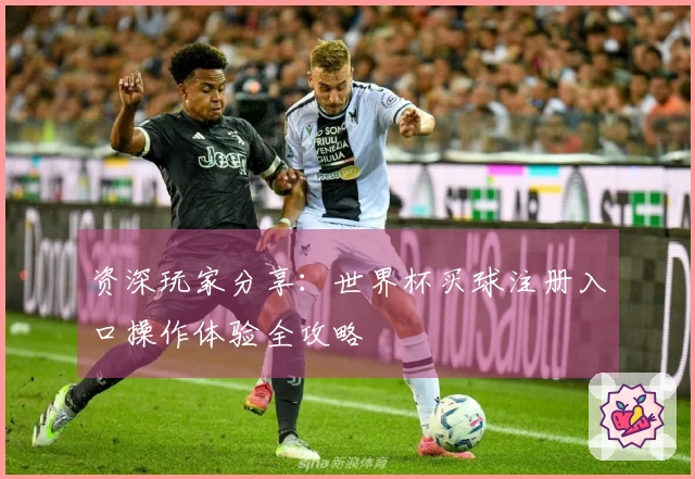 资深玩家分享：世界杯买球注册入口操作体验全攻略