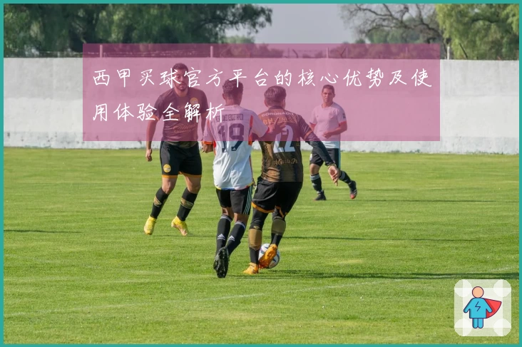 西甲买球官方平台的核心优势及使用体验全解析
