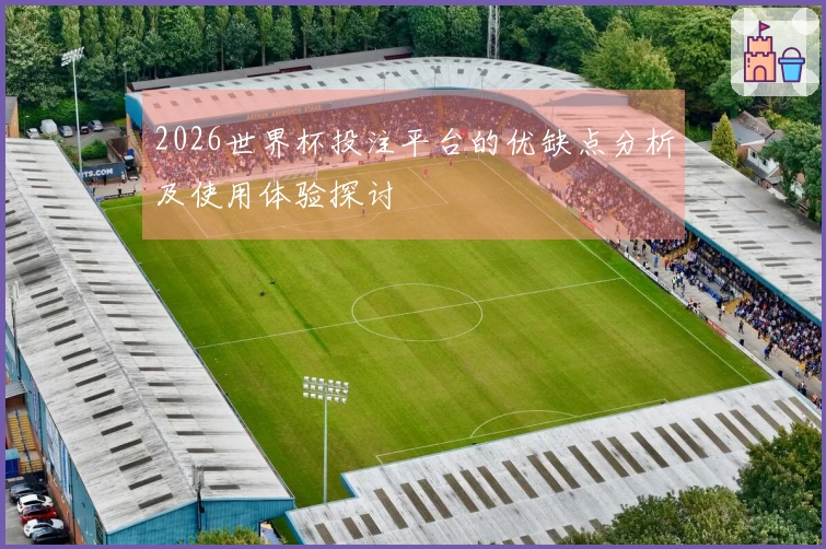 2026世界杯投注平台的优缺点分析及使用体验探讨