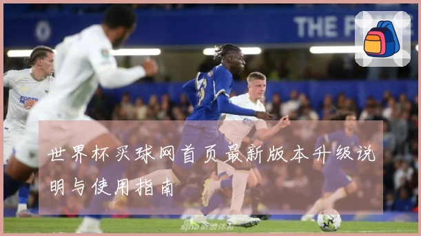 世界杯买球网首页最新版本升级说明与使用指南