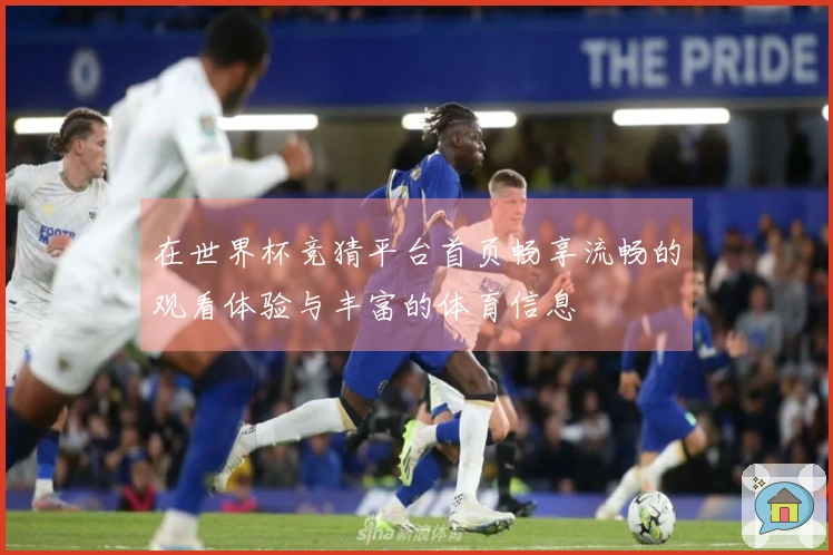 在世界杯竞猜平台首页畅享流畅的观看体验与丰富的体育信息