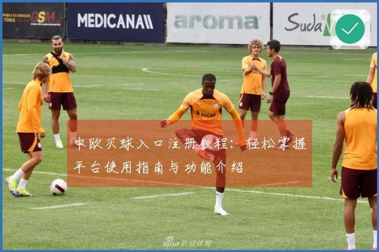 中欧买球入口注册教程：轻松掌握平台使用指南与功能介绍