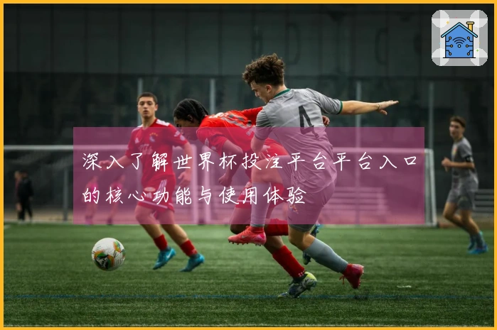 深入了解世界杯投注平台平台入口的核心功能与使用体验