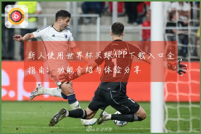 新人使用世界杯买球APP下载入口全指南：功能介绍与体验分享