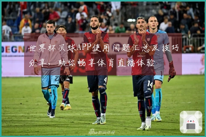 世界杯买球APP使用问题汇总及技巧分享，助你畅享体育直播体验