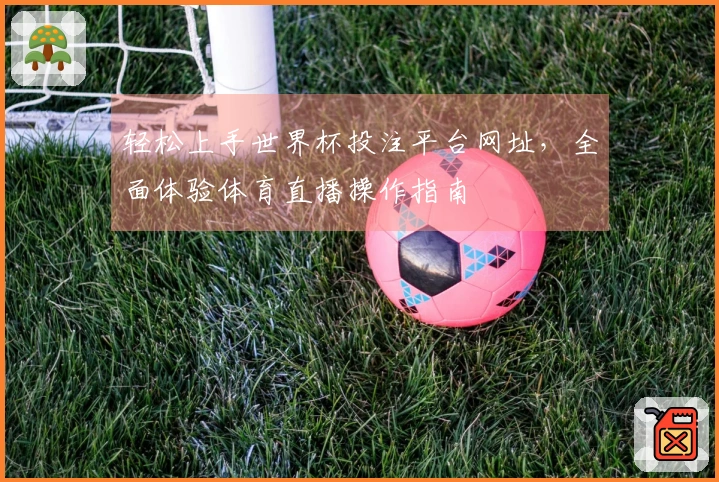 轻松上手世界杯投注平台网址，全面体验体育直播操作指南