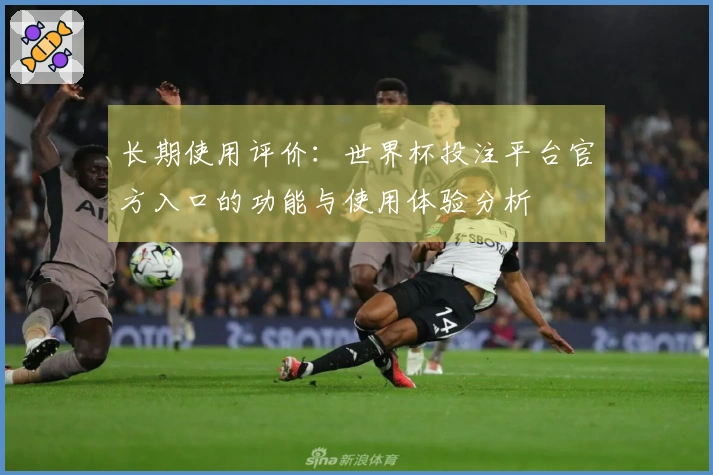 长期使用评价：世界杯投注平台官方入口的功能与使用体验分析