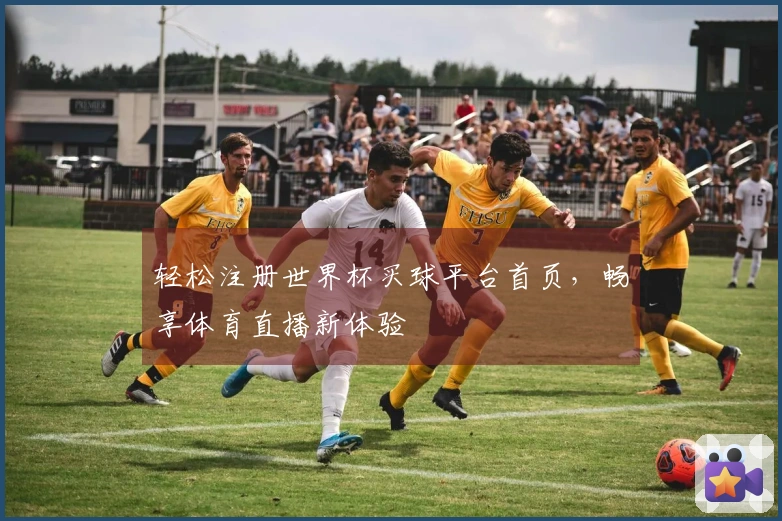 轻松注册世界杯买球平台首页，畅享体育直播新体验