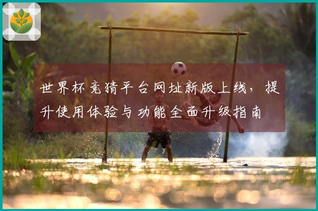 世界杯竞猜平台网址新版上线，提升使用体验与功能全面升级指南