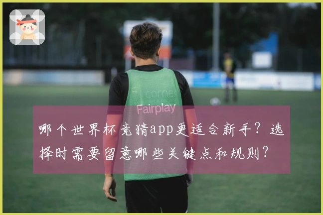 哪个世界杯竞猜app更适合新手？选择时需要留意哪些关键点和规则？
