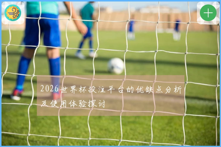 2026世界杯投注平台的优缺点分析及使用体验探讨