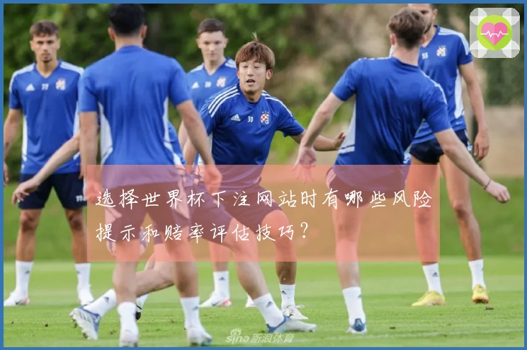 选择世界杯下注网站时有哪些风险提示和赔率评估技巧？