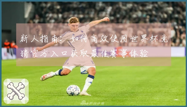 新人指南：如何高效使用世界杯竞猜官方入口获取最佳赛事体验