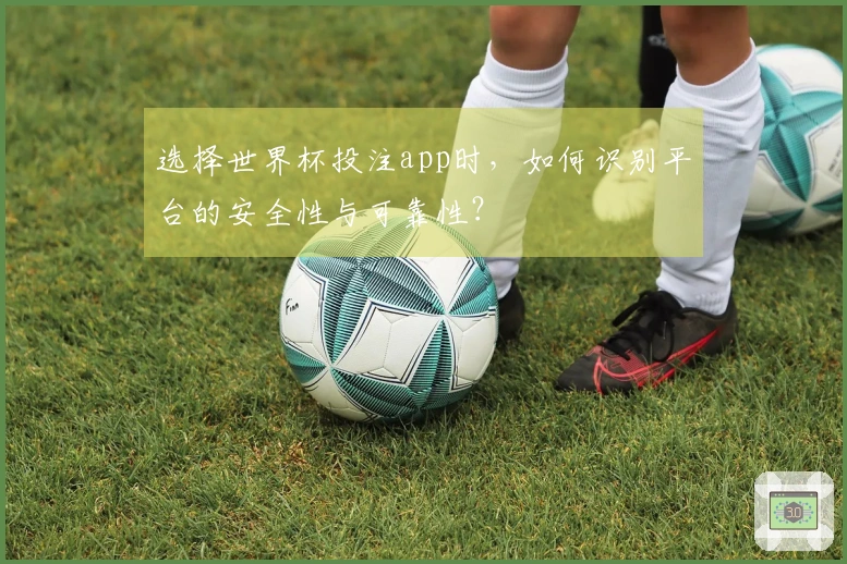选择世界杯投注app时，如何识别平台的安全性与可靠性？