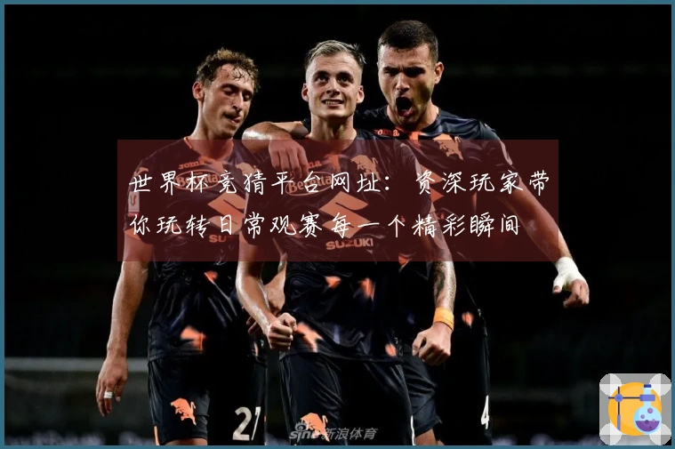 世界杯竞猜平台网址：资深玩家带你玩转日常观赛每一个精彩瞬间