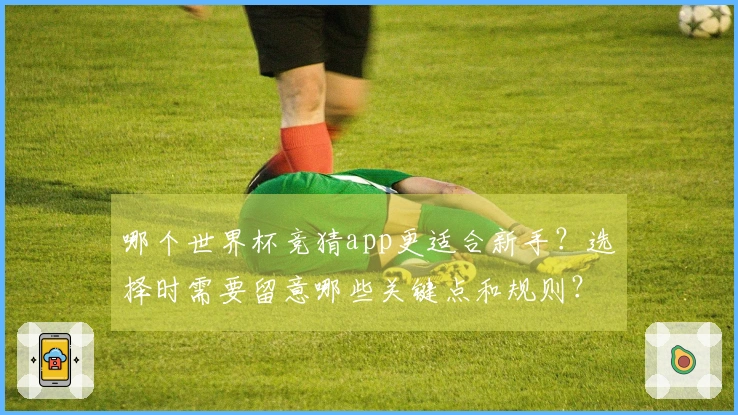哪个世界杯竞猜app更适合新手？选择时需要留意哪些关键点和规则？